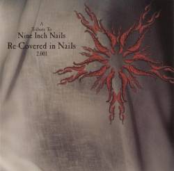 Nine Inch Nails : Re-Covered in Nails 2.001